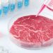 Lab-Grown Beef
