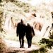 Retirement (1)