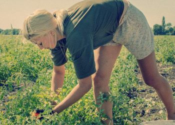 Ukrainian Farmer