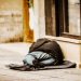 Homeless (1)