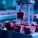 Lab-Grown Meat