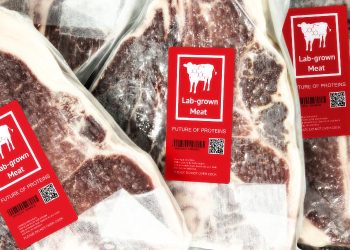 Lab-Grown Steak