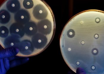 Antimicrobial Resistance