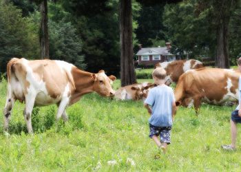 Golden Valley Farms