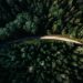 Green Roads