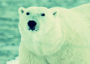Global Warming