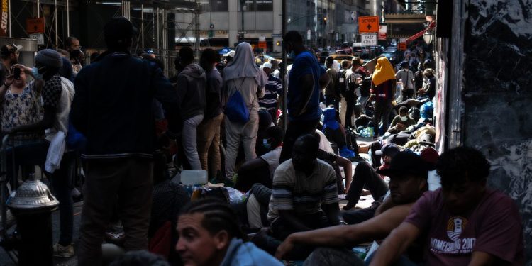 NYC Illegal Aliens