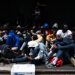 NYC Illegal Aliens