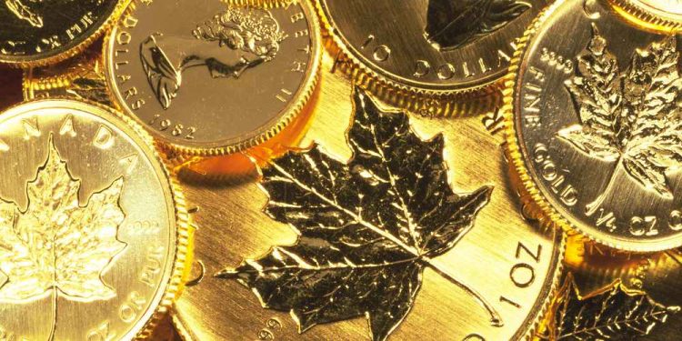 Canadian Maple Leaf