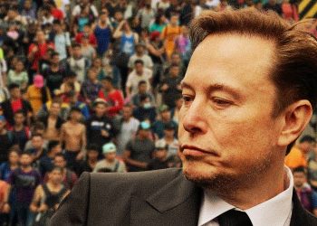 Elon Musk Great Replacement Theory