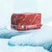 Lab-Grown Meat