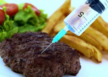 RNA DNA Food