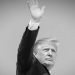 Trump Winning