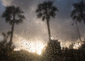 California Rain