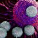 T Cells