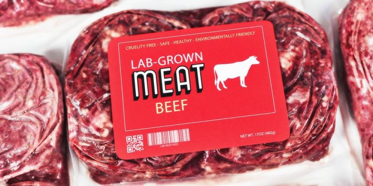 Lab-Grown-Meat-2