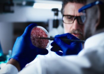 Lab-Grown Meat