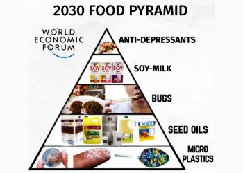 WEF Food Pyramid
