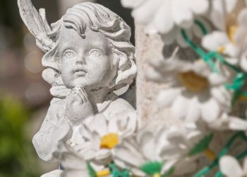 Infant Mortality
