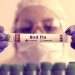 Bird Flu