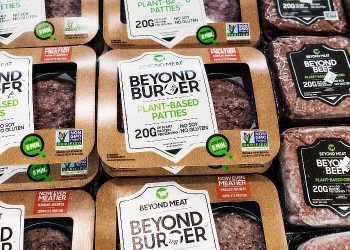 Beyond Burger