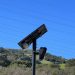 Seattle City Council approves amended bill to expand license plate readers