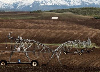 Idaho Farms