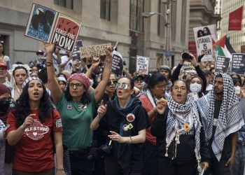 Pro-Hamas Supporters Sulk Over Rescue - Israel Shows It Knows What It Is Doing