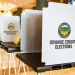 Who Is Really Manipulating Election Results?