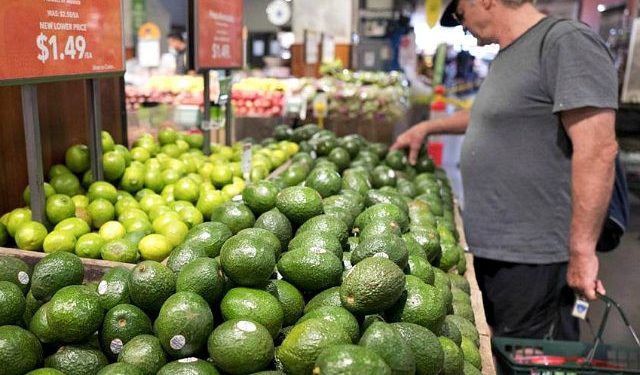 REPORTS: U.S. Halts Avocado Imports After Abduction of USDA Inspectors in Mexico