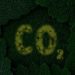 Carbon Capture
