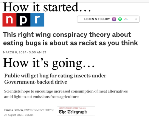 Bug Diets, Once Labeled \'Conspiracy Theory\' By MSM, Now Becomes Fact After UK Gov\'t Backs \'Sustainable\' Food