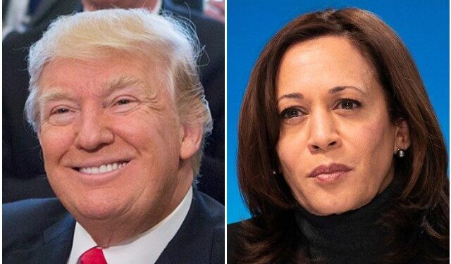 Poll: Most Voters See Donald Trump as Strong Leader, Kamala Harris as Weak Leader