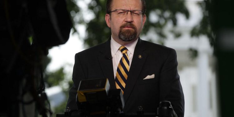 Seb Gorka calls the Democrat Party a 'cult' that would vote for a 'sack of potatoes' with a D on it