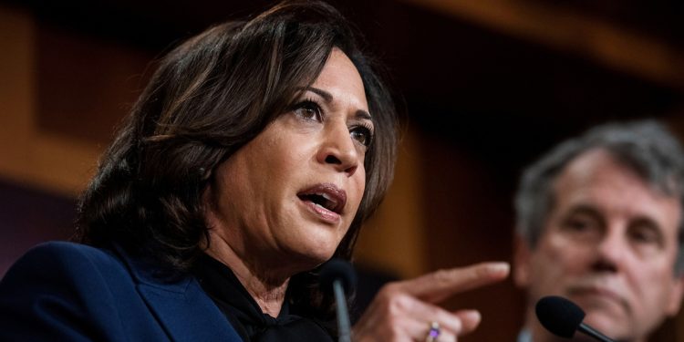 Biden and Harris caught trying to implement new 'amnesty' program