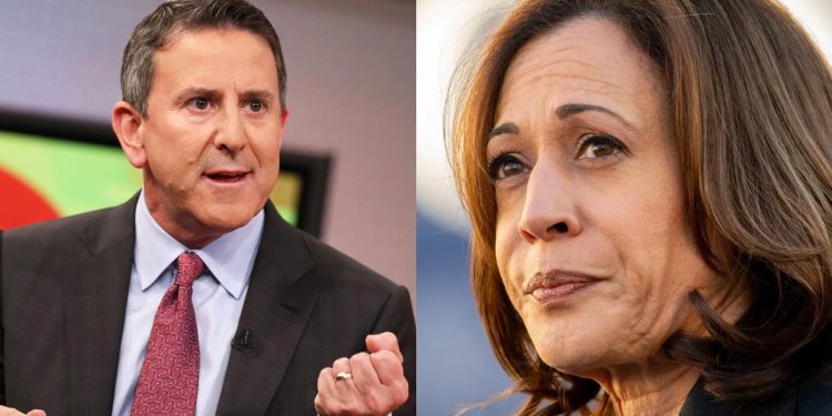 Target CEO Shreds Kamala Harris’ Claim That Retailers Are ‘Price Gouging’