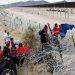 Border Crisis