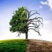 Climate Change (1)