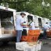 Union for Postal Workers, Who Will Handle Ballots, Endorses Kamala Harris