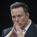Elon Musk torches Democrats after former DNC leader praises suppression of free speech in Brazil