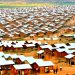 Germany Considering Sending Illegal Migrants to Rwanda Camps Set up for the UK and Abandoned by Starmer’s Labour Government