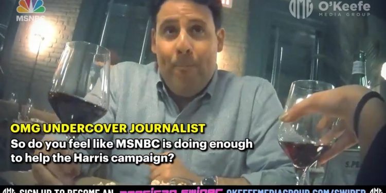 BREAKING: OMG: MSNBC Producer Admits Network is ‘Doing All They Can’ to Help Elect Kamala Harris (VIDEO)