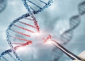 DNA