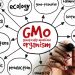GMO