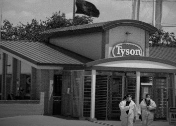 Tyson