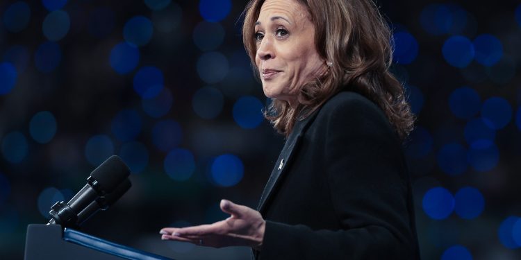 Blowing the Blue Wall? Democratic Strategists, Donors Fear Harris Is Slipping in Crucial Swing States