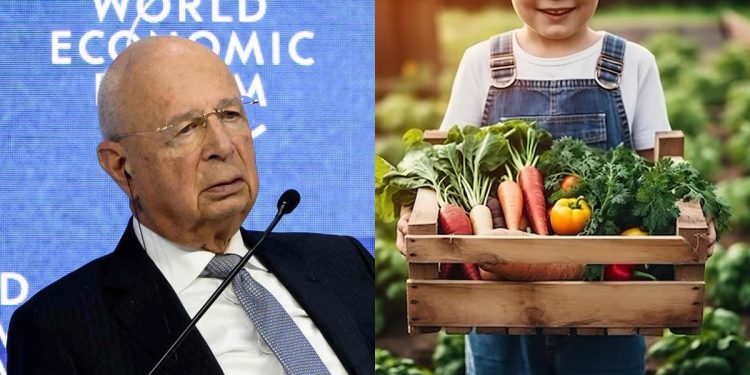 WEF Demands Ban on Home-Grown Food to Stop ‘Global Warming’