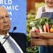 WEF Demands Ban on Home-Grown Food to Stop ‘Global Warming’