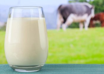 Rulers Warn Against Drinking Raw Milk