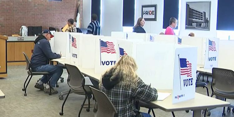 Chinese Student Accused Of Voting Illegally — And His Vote Will Reportedly Count